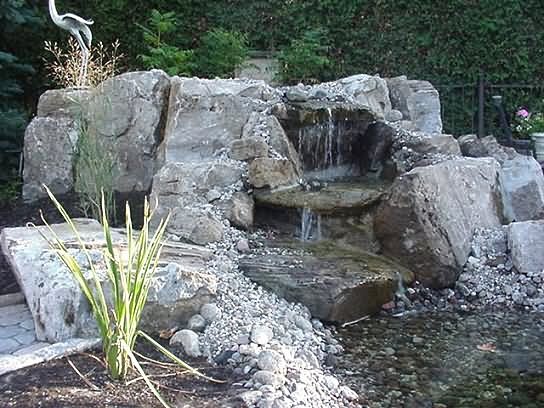 � Mon Coin de Jardin