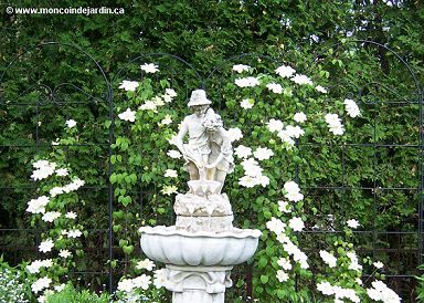 Cliquez pour agrandir