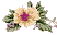 fleur