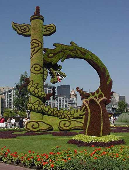 Dragon et ph�nix